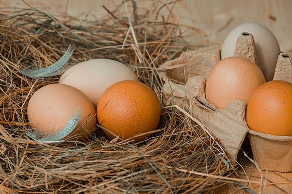 Как правильно сварить яйца всмятку
