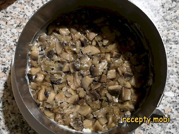 cooking chicken ryaba salad with mushrooms - photo step 11