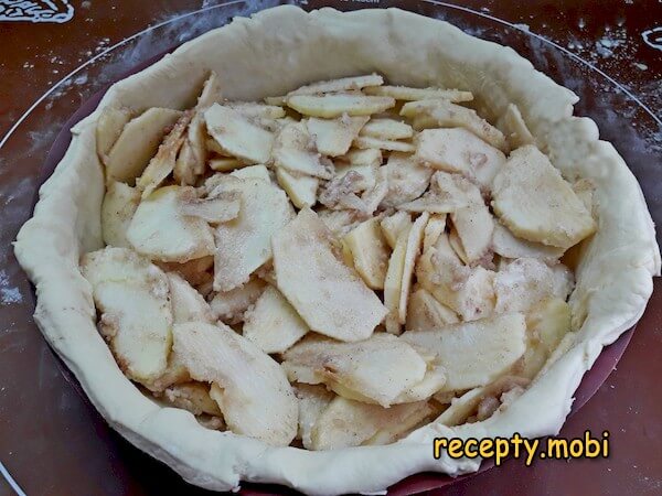 приготовления американского яблочного пирога - фото шаг 13