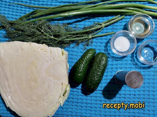 ingredients for making fresh cabbage salad with cucumber - photo step 1