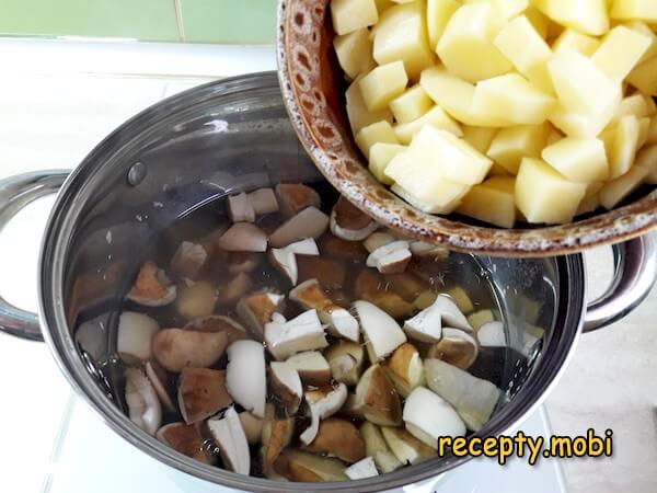 приготовление супа из свежих белых грибов с картошкой - фото шаг 10