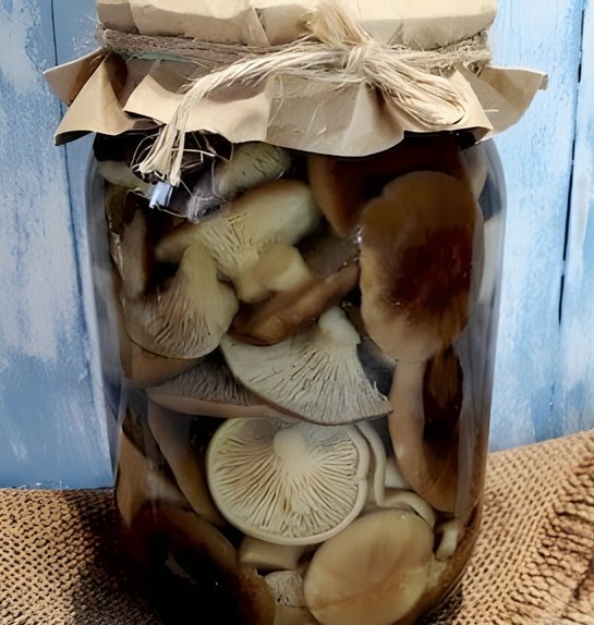 Mushroom marinade for a liter of water for winter