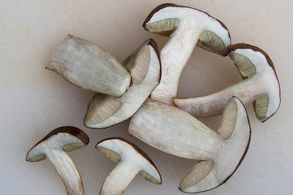 Чем подавать белые грибы к столу