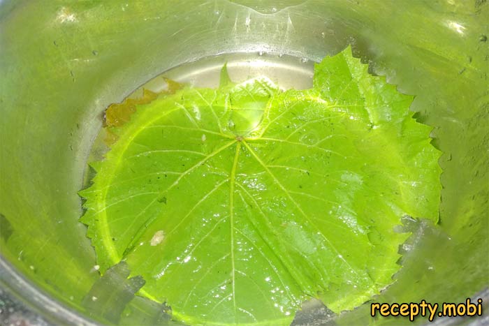 виноградный лист в воде - фото шаг 10