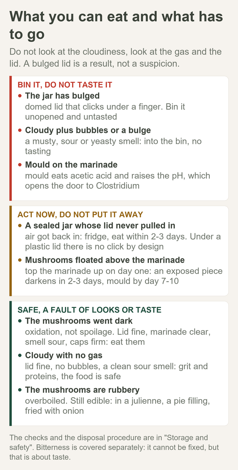 What you can eat and what has to go: a bulge, gas and mould go in the bin; darkening and gas-free cloudiness are safe