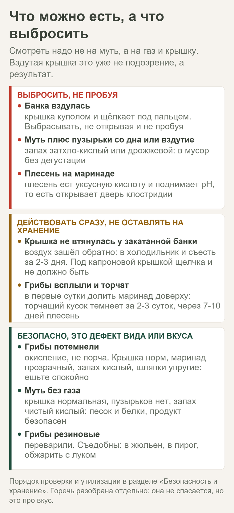 Что можно есть, а что выбросить: вздутие, газ и плесень в мусор; потемнение и муть без газа безопасны