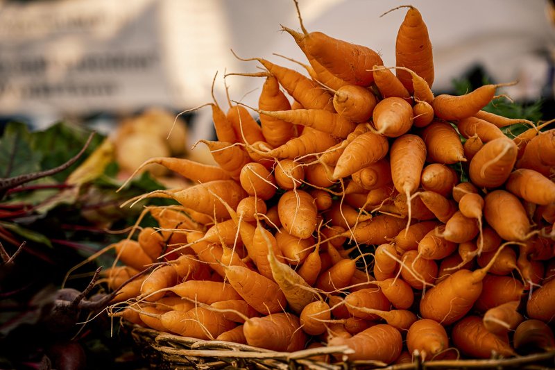 Fresh juicy carrots for the Korean-style salad