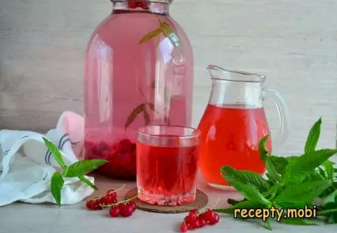 Компот из красной смородины с мятой – пошаговый рецепт в домашних условиях