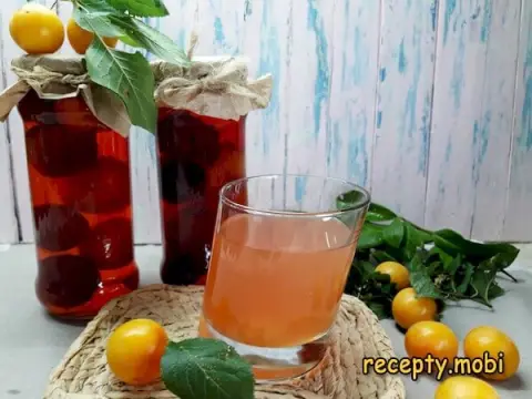 Plum Compote for Winter
