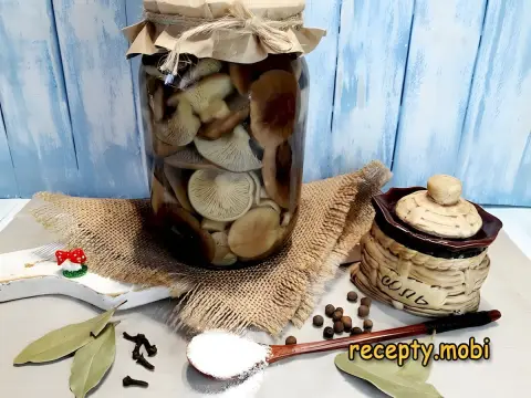 Mushroom Marinade for One Liter of Water for Winter