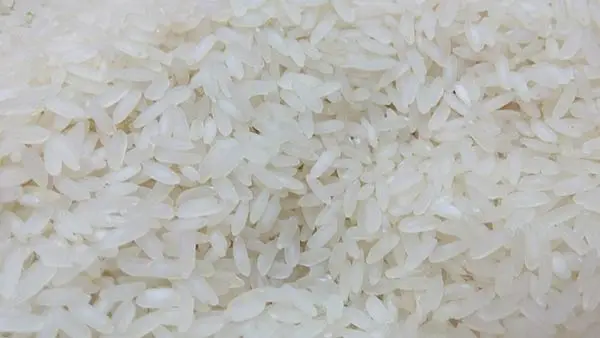 How to Cook Rice Porridge with Milk – the Simplest Methods