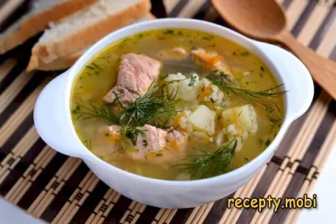 Salmon Soup