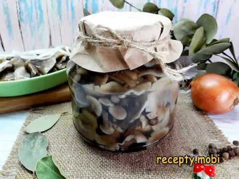 Marinated honey mushrooms for winter