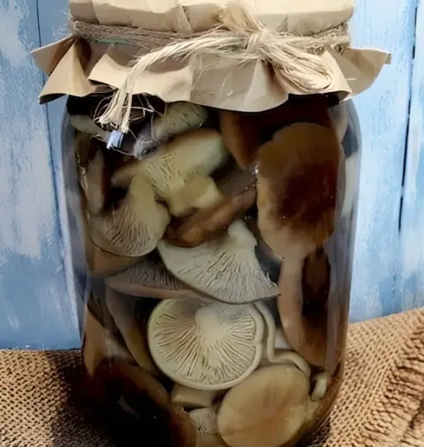 Mushroom Marinade for One Liter of Water for Winter