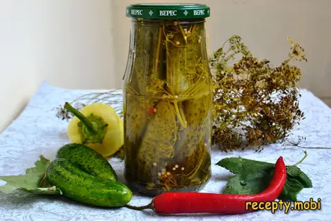 Marinated Cornichons for Winter