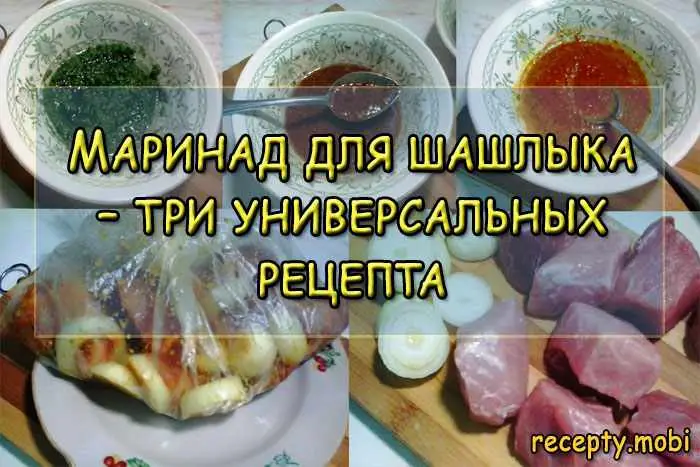 Маринад для шашлыка – три универсальных рецепта в домашних условиях Маринад для шашлыка – три универсальных рецепта