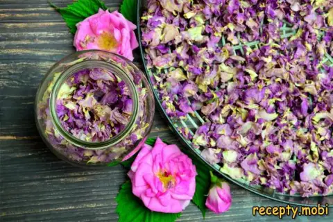 Сушёная чайная роза – простой способ сушки в домашних условиях
