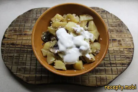 Картофель с грибами в сметане в духовке – пошаговый рецепт в домашних условиях