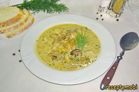 Грибной суп из сушёных белых грибов со сливками – пошаговый рецепт в домашних условиях