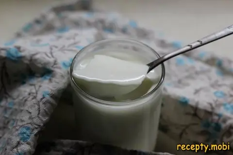 Homemade Yogurt in a Yogurt Maker