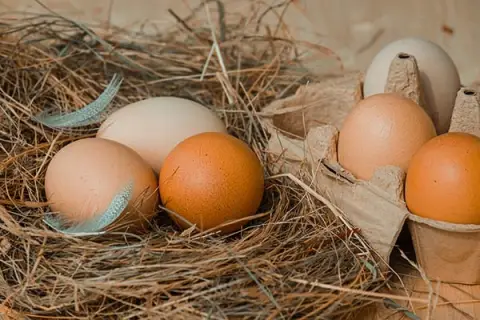 How to Boil Soft-Boiled Eggs – The Easiest Methods
